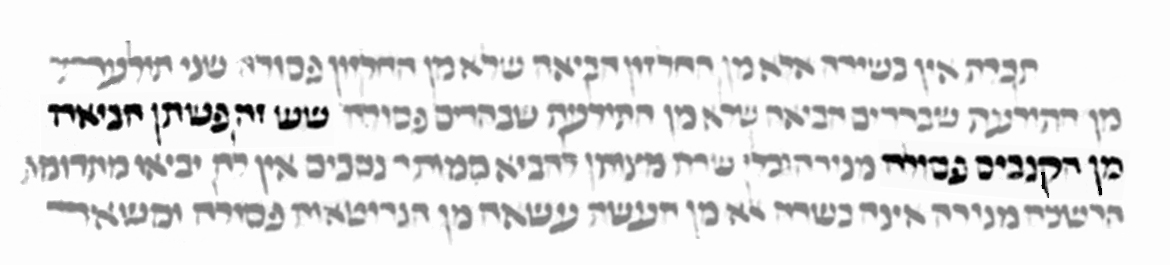 "שש זה פשתן הביאה מן הקנביס פסולה" – תוספתא מנחות ט, יז, כתב יד וינה 20 (המאה הי"ד).